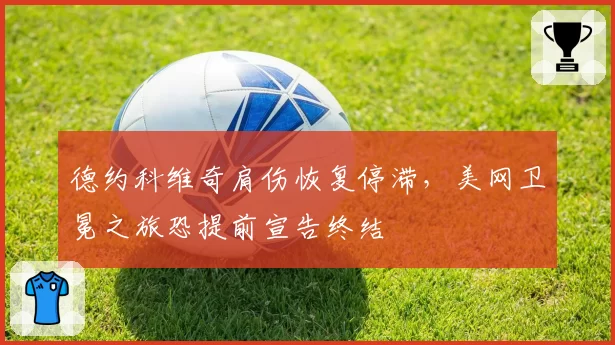 德约科维奇肩伤恢复停滞,美网卫冕之旅恐提前宣告终结