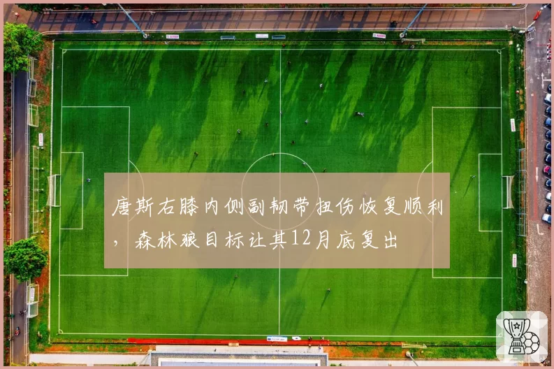 唐斯右膝内侧副韧带扭伤恢复顺利，森林狼目标让其12月底复出