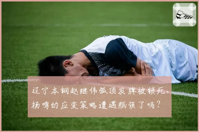 辽宁本钢赵继伟弧顶发牌被锁死,杨鸣的应变策略遭遇瓶颈了吗?