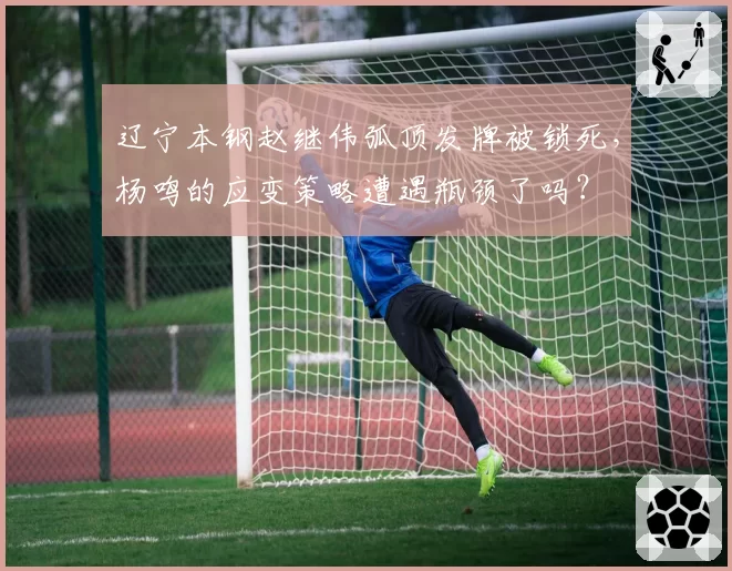 辽宁本钢赵继伟弧顶发牌被锁死,杨鸣的应变策略遭遇瓶颈了吗?
