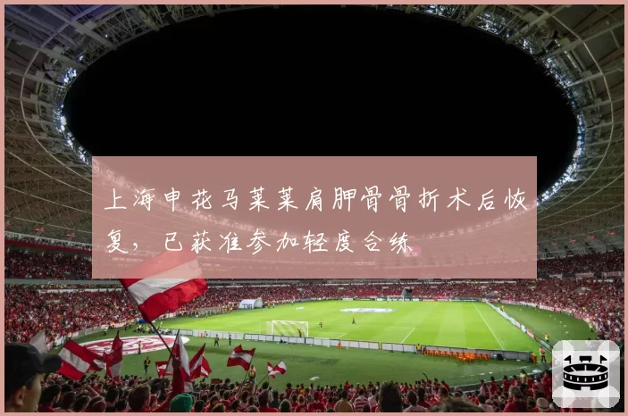上海申花马莱莱肩胛骨骨折术后恢复，已获准参加轻度合练