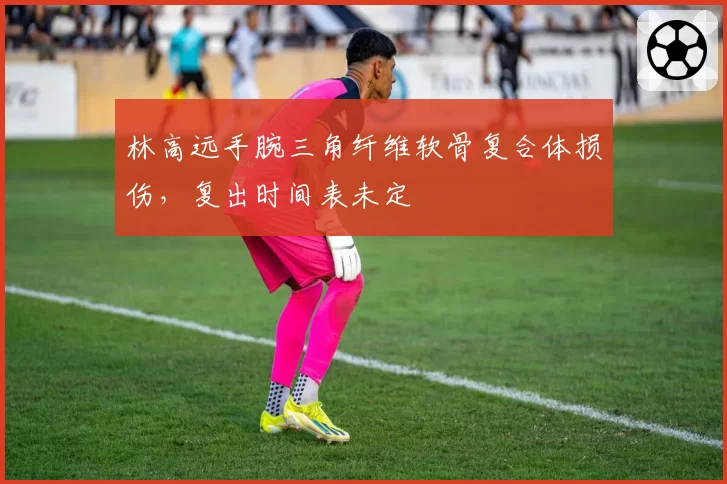 林高远手腕三角纤维软骨复合体损伤，复出时间表未定